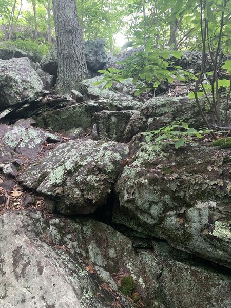 Some fun rock scrambles along the way