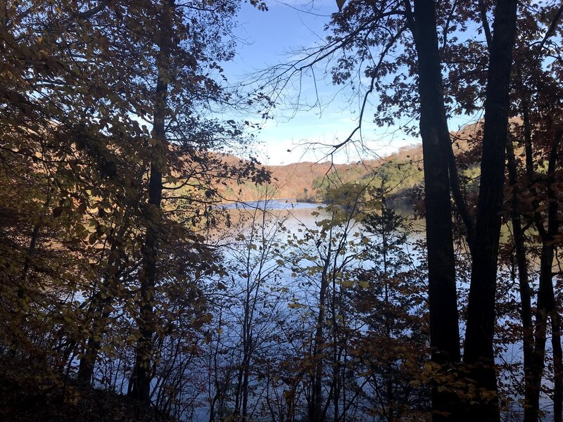 View of Dewey Lake through the trees.