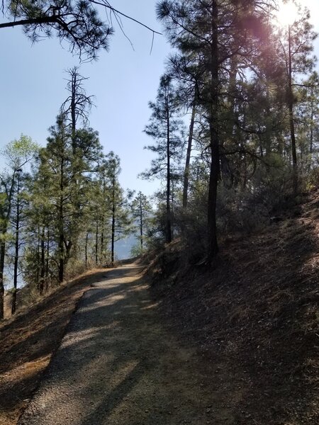 Paved part of Trail 311 going to the dam.