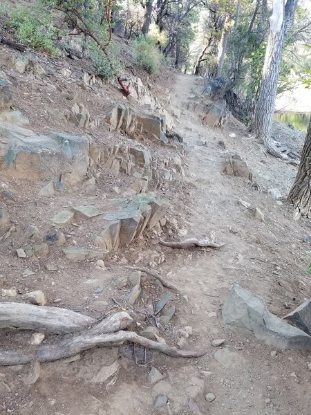 The South side of Trail 311 gets a little more technical.