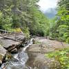 Right near the shelter/porter potty on the Beaver Brook Trail up Mt Moosilauke.