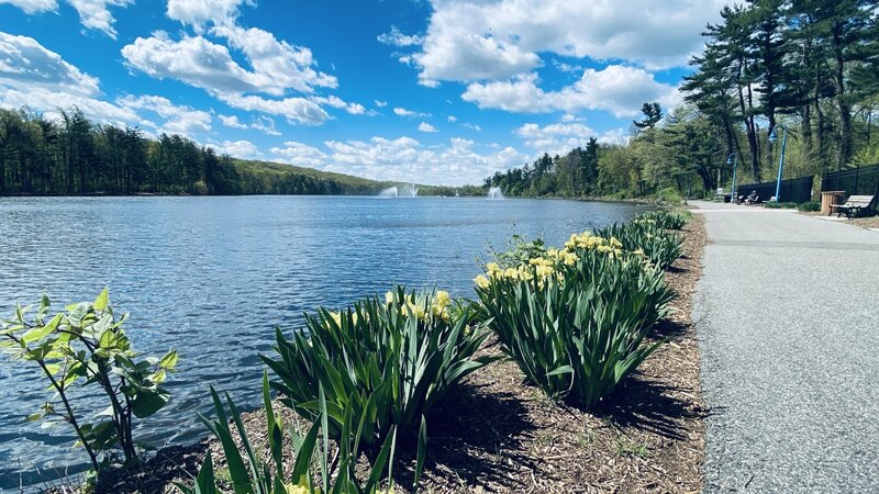 The loop road comes alive in spring.