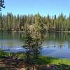 Jakey Lake, a pretty little lake along Widow Lake to Snag Lake Trail.