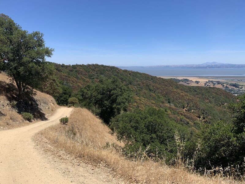 Chicken Shack Fire Road with Mt Diablo in the distance.