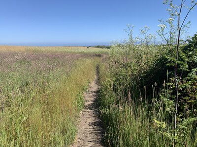 Hiking along the Wilder Ridge Loop.