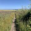 Hiking along the Wilder Ridge Loop.