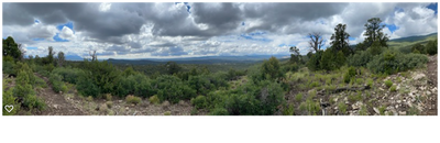 View from the southern end of vista.