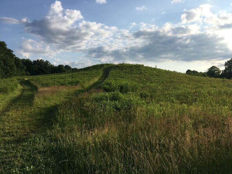 Looking back up at the scenic viewpoint hill near the Pine Hollow trailhead. Definitely include the top of this hill in any hikes you do in this area.