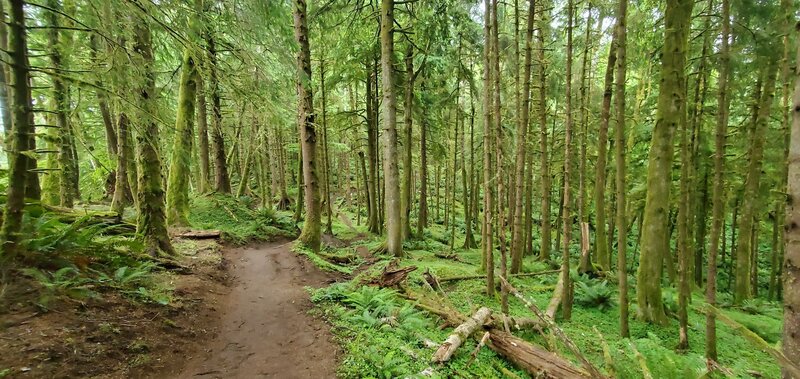 View from top of trail