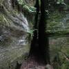 Narrow rock passage on the Red trail at Nelson's Ledges.