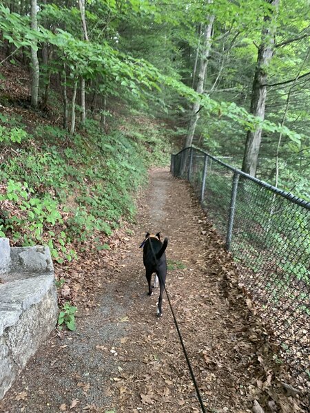 This is the trail in between the overlooks.