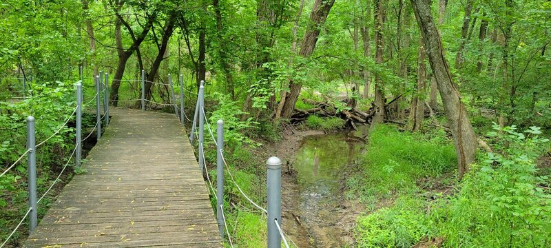 One of the boardwalk sections that runs along a creek.