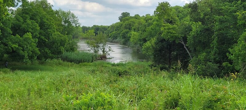 One of the wetland areas at the Heard.