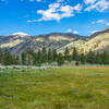 After 2 miles on Buckeye Trail, we begin to see green meadows, Jeffery Pine, and higher sections of Flatiron Ridge