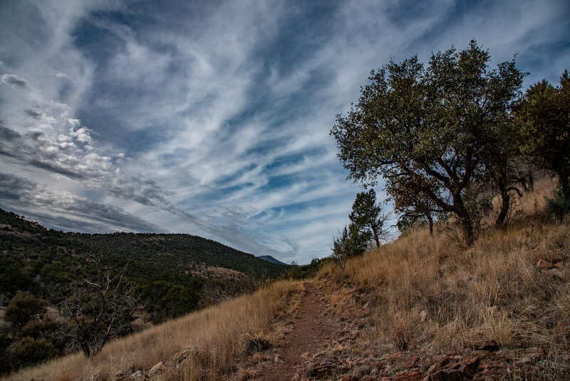 Madera Canyon Trail