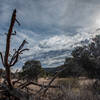 Madera Canyon Trail