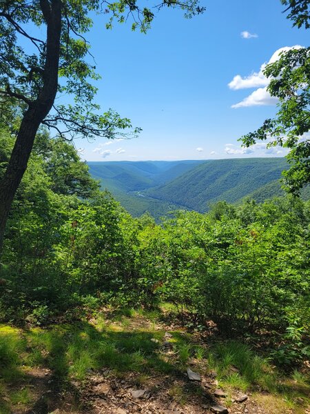 Black Forest Trail vista