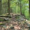 Shale on the Black Forest Trail