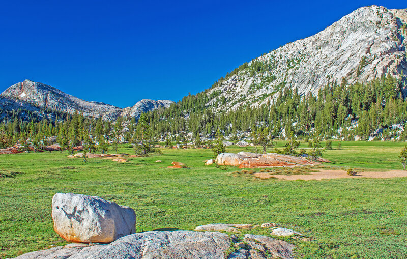 Upper Rancheria Creek meadow.