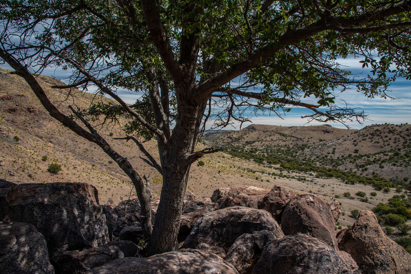 Indian Lodge Trail Rock Outcrop