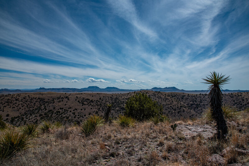 Desert View