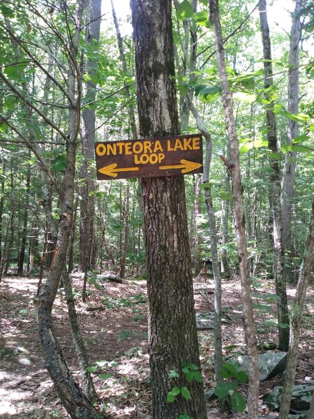 Directions for man loop.