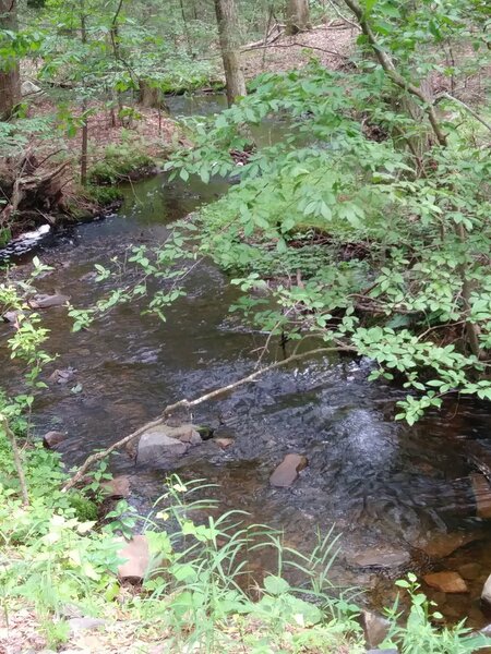 Some streams and some mud.