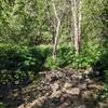 First water crossing. Most water crossings have plenty of rocks for ease of crossing.