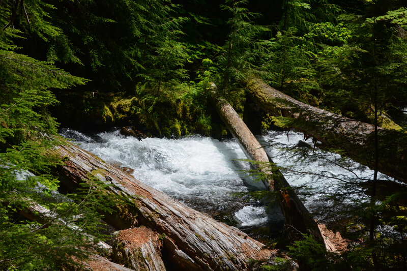 Lots of views of the beautiful Pamelia Creek.