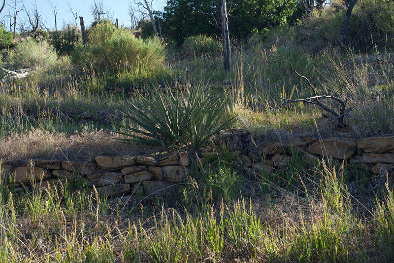 Along the trail, you can see how the early inhabitants terraced the land to conserve water and grow crops.