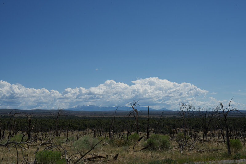 A view of the mountains from the Badger House Community Trail.
