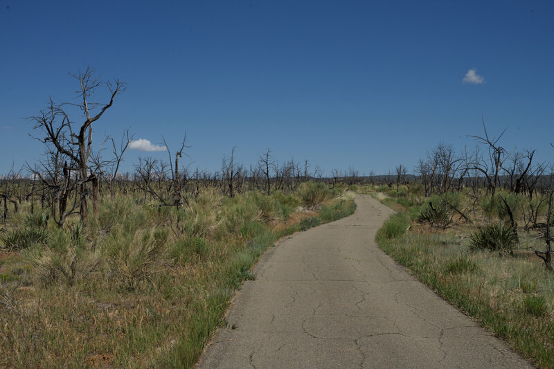 The Long House Loop Trail winds through an area where the Pony Fire burned in 2000.  There isn't a lot of shade out here, but the walk is easy.