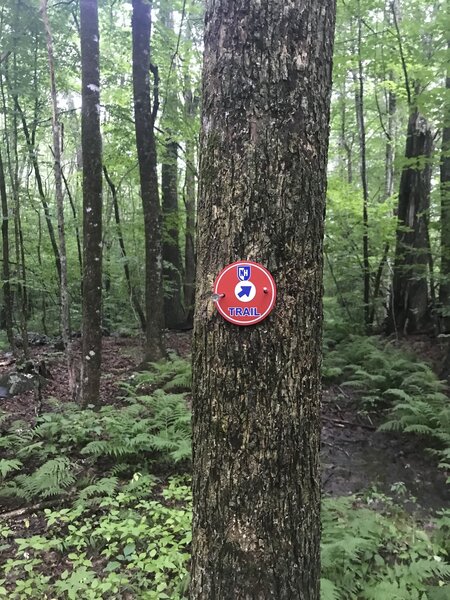 Tree marker for the Red Trail