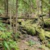 Bridge over dry part of creek.