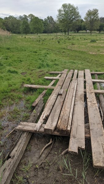 The makeshift "bridge" over a section of trail that's almost always muddy or flooded.