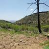 Flat terrain on Unconformity Trail.