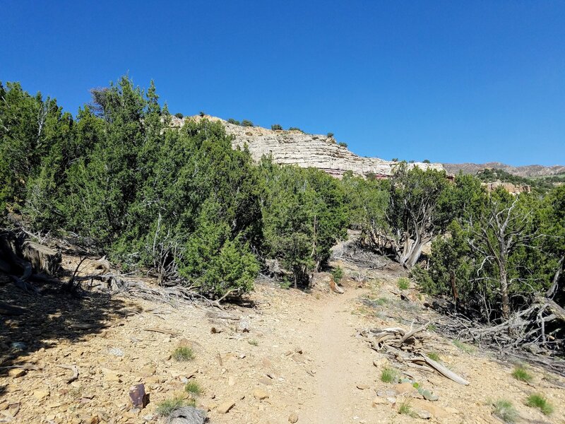 View to the East from Unconformity Trail.