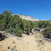 View to the East from Unconformity Trail.