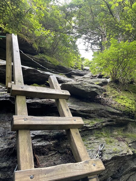 A series of cables and ladders give access to great views.