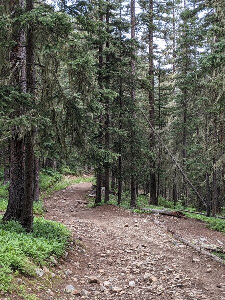 Typical shot of the trail.  Wide with rocks.