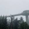 Clingmans dome in the fog.