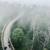 Clingmans dome walk up in the fog.