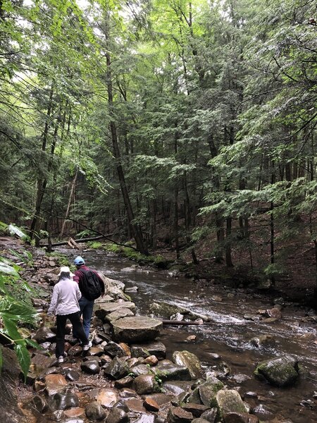 Rock scramble at the start of the trail can get slippery with rain.