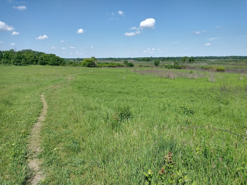 Rolling meadows that look like The Shire.