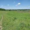 Rolling meadows that look like The Shire.