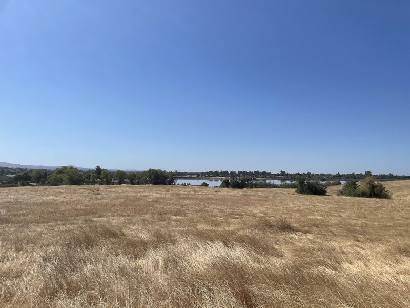 View of the Forebay from the Rattlesnake Hill Loop trail.