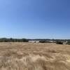 View of the Forebay from the Rattlesnake Hill Loop trail.