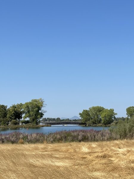 View of the Forebay at the end of the Rattlesnake Hill Loop Hike.