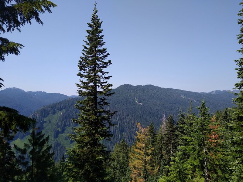 Views of nearby mountains and ridges to the south emerge as Cady Ridge Trail breaks out of the trees as it nears the ridge top.