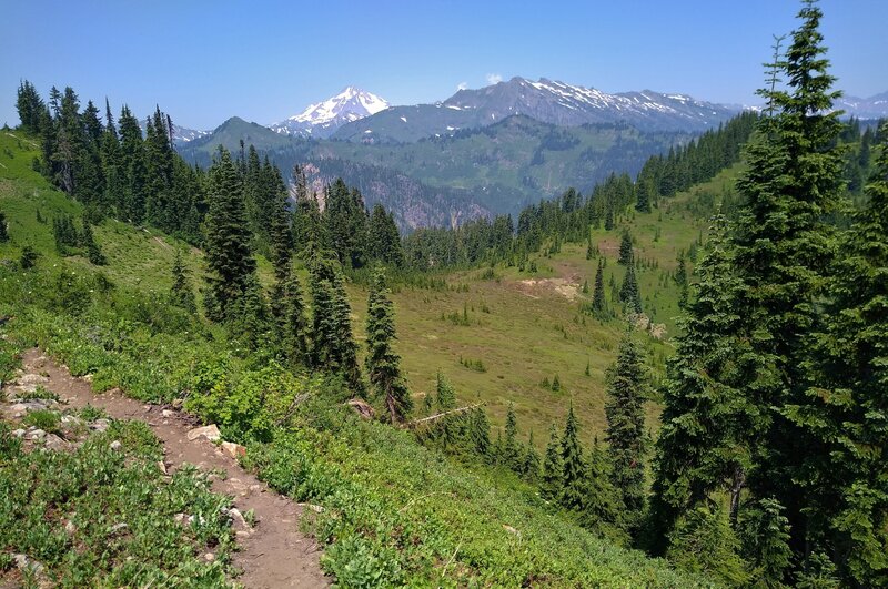 Snowy Glacier Peak, 10,541 ft. (upper center left) is in the distance to the north. Closer by is Poets Ridge across the Little Wenatchee River valley. Seen from Cady Ridge Trail, as the trail passes a meadow in a hanging valley on the right.